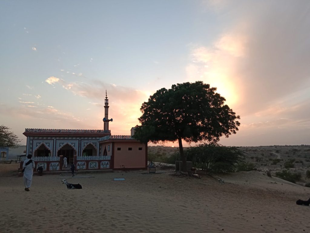 Masjid's graden